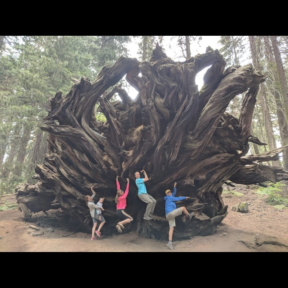 Meet your Posher, Rachel - Picture 8 of 16